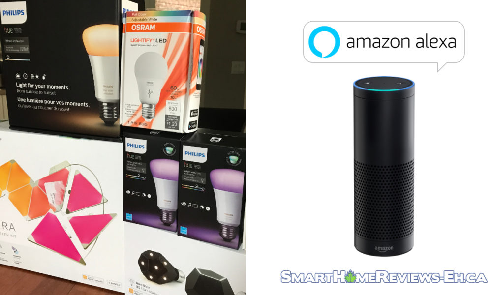 best lights for amazon echo