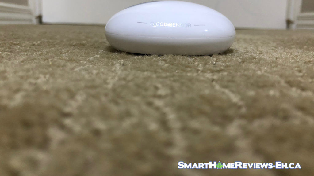 Carpet placement - Fibaro Flood Sensor Review